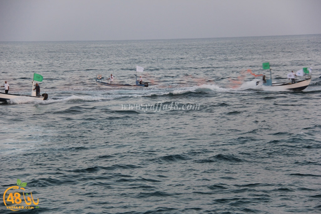 iste3rad sayaden yaffa (25).JPG